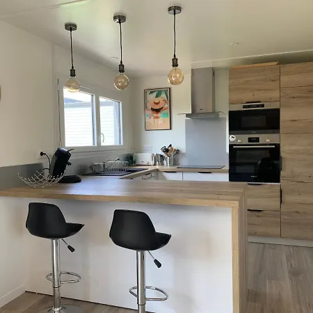 Chalet Bretignolles-sur-mer, 4 Pieces, 8 Personnes - Fr-1-655-3 Horská chata